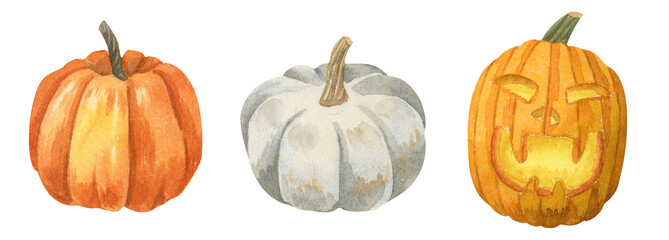 Watercolor Halloween pumpkins. Isolated on white. Perfect for halloween decorations..
