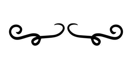 Fototapeta premium spiral swirl divider 