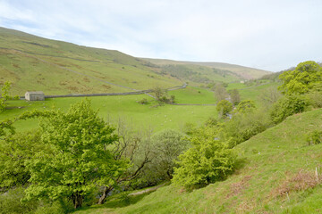 Fototapeta na wymiar View over Langstrothdale in the Yorkshire Dales