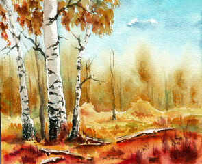 Group of birch trees in the autumn forest closeup. Hand drawn watercolors on paper textures. Raster
