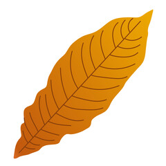 Autumn Dry Leaves