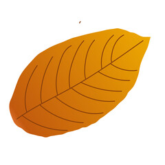 Autumn Dry Leaves