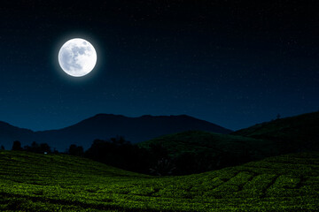 Fototapeta na wymiar Night landscape in village with moon and stars.