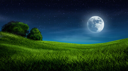 Fototapeta na wymiar Illustration of night landscape in meadow