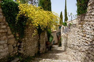 View of the Vaison la Romaine village in Provence, France