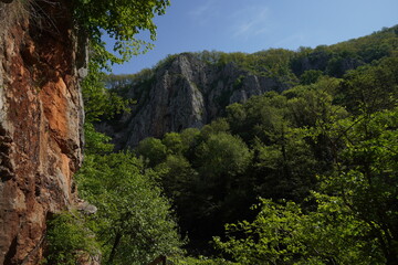 Fototapeta na wymiar hiking area near Vadu Crisului waterfall, Romania, Europe 