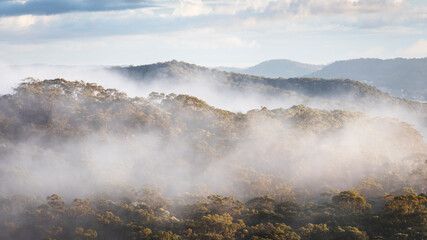 Mist and fog in mountains of central coast NSW australia