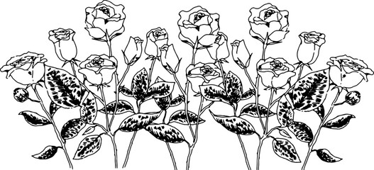 Fototapeta premium 薔薇の背景イラスト