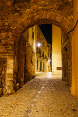 Fototapeta na wymiar Picturesque alley with stone arch that gives entrance to the city of Besalu at night, Girona, Spain.