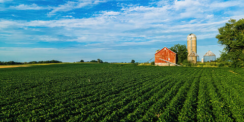 Summer farm landscape in wisconsin
