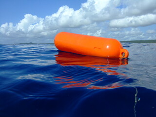 Life buoy on sea - obrazy, fototapety, plakaty