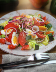 delicious vegetable salad with tomatoes, cucumber and egg