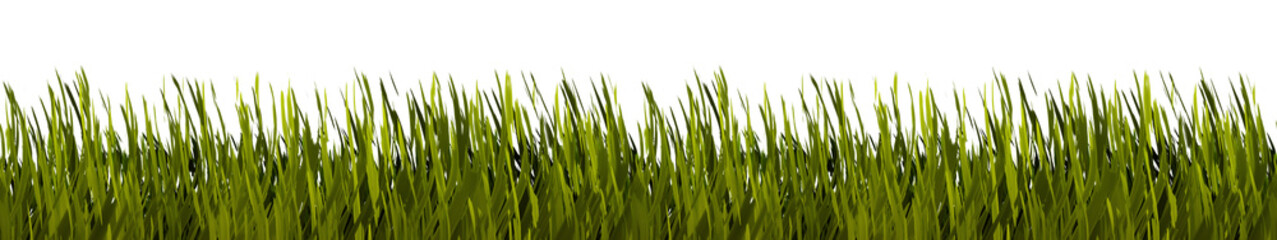 grass border stylized on transparent background - obrazy, fototapety, plakaty