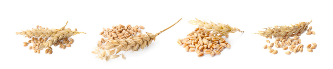 Set with heaps of wheat grains on white background. Banner design