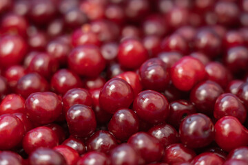 Red delicious sweet organic cherry in large quantity .Cherry background.