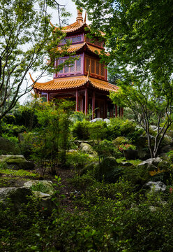 view of pavilion between trees