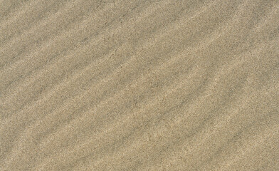 Fototapeta na wymiar Textured lines in the sand. Abstract background.
