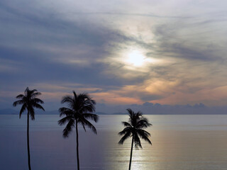 Wallpaper of peaceful sunrise sunset seascape and ocean sky with coconut silhouette foreground