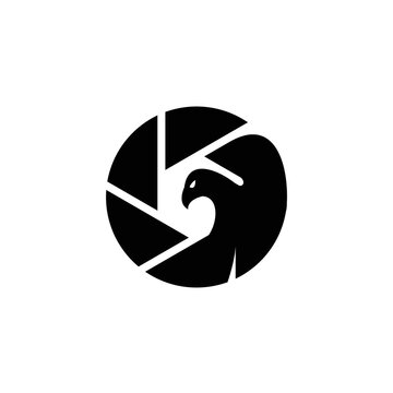 eagle head with shutter camera photography logo design