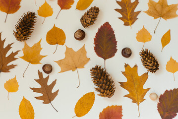 Fallen autumn leaves, located next to each other on a beige background. Copy Space