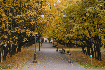 Minsk, Belarus. October 2020. Central entrance, alley to the Botanical Garden in autumn