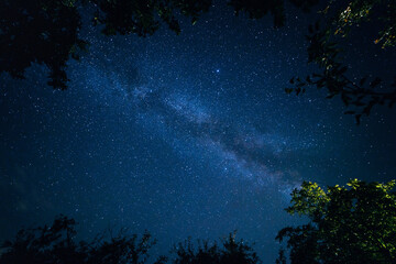 Fototapeta na wymiar Milky Way at night sky over trees on foreground