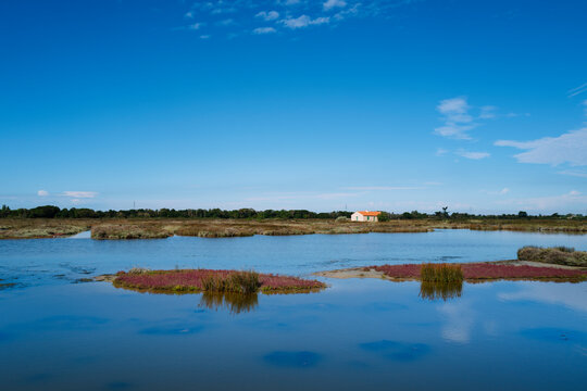 marsh of noirmoutier, passage of gois