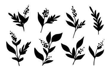 Simple vector drawing. Floral set, flowers, branches with leaves, inflorescences of field herbs. Black silhouette, plant elements.