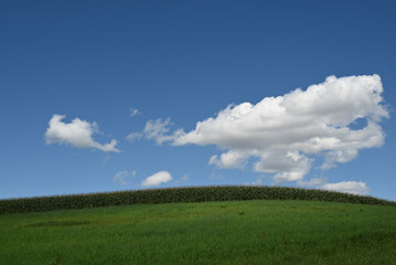 夏の北海道の草原とトウモロコシ畑と青い空に湧き上がる白い雲