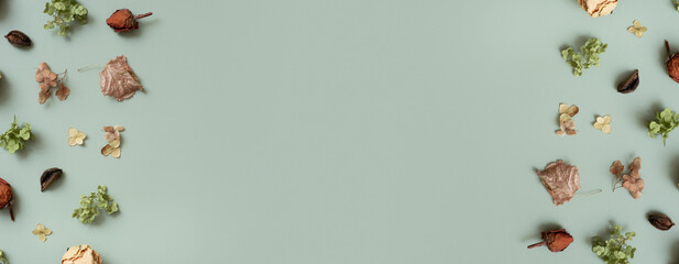 Banner with autumn pattern flat lay with from dried plants on pastel green colored background. Top view, copy space