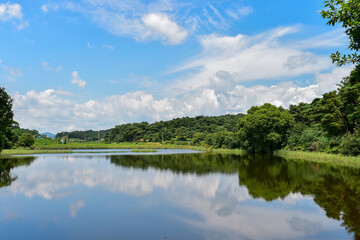 Fototapeta premium Overgrown with old trees around the Daejeong reservoir in Imsil-gun, Jeollabuk-do, South Korea.