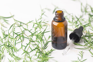 Natural essential oil in the amber bottle concept green leaves cosmetics