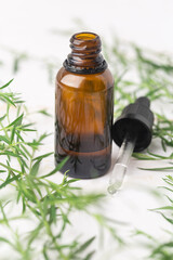 Natural essential oil in the amber bottle concept green leaves cosmetics