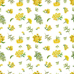 Digital  seamless pattern with colorful wild flower and leaves. With transparent layer.