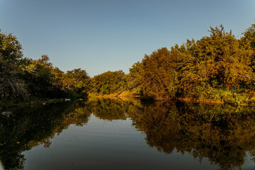 Lake with trees