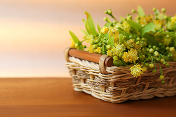 Fototapeta na wymiar Beautiful linden blossoms and green leaves in wicker basket on wooden table. Space for text