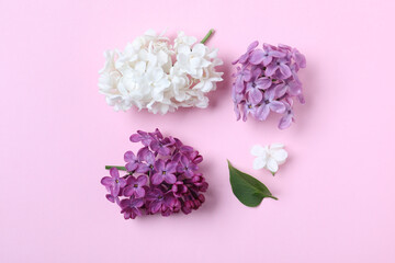 Flat lay composition with different lilac blossoms on pink background