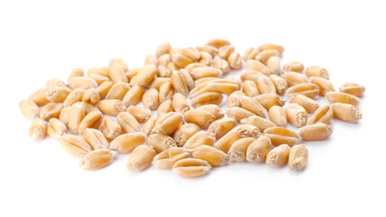 Pile of wheat grains on white background
