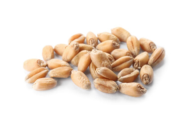Pile of wheat grains on white background