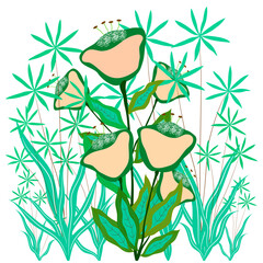 Exotic tropical plants on a white background.