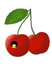 Illustration of red cherries with a worm against a white background.

