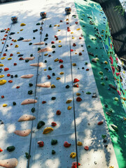 Artificial rock climbing bouldering wall showing various colored grips.