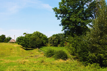 Fototapeta premium Scenic view of a stone cottage house in a green field with green leafy trees in rural Ukraine. Sunny sky background. Rural summer countryside. Flowered meadow and trees on the steep slope