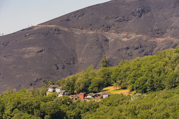 burned mountains in the background