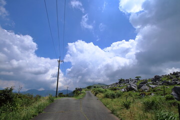 夏の四国カルスト　脇道を散策