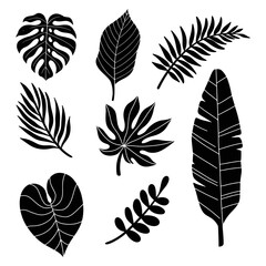 tropical leaves silhouette illustration vector