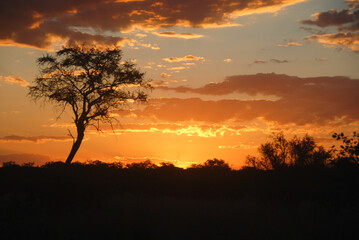 sunset and cloudscape over serengeti national park in africa