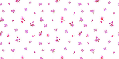 Fototapeta na wymiar Digital seamless pattern with colorful wild flowers . With transparent layer