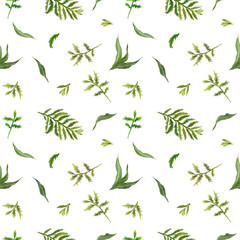 Digital seamless pattern with 
colorful wild  leaves .  With transparent layer