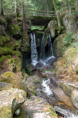 Waterfall in the Black Forest, with trees, rocks and ferns